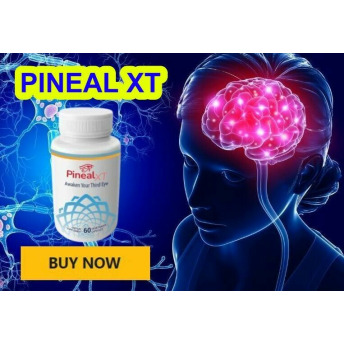 Pineal XT Experience Erfahrungen Bewertungen