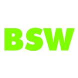 BSW Malerhandwerk GmbH logo