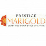 prestigemarigold