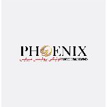 Phoenix Professional Services