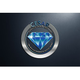 Cesar Garage Door Services