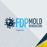 FDP Mold Remediation | Mold Remediation Linden