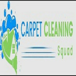 The Woodlands Carpet Cleaning Squad