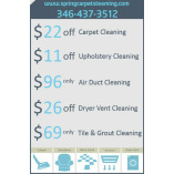 Spring Steam Carpet & Care