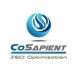 CoSapient Inc.