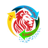 All Detailing Simba