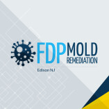 FDP Mold Remediation of Edison
