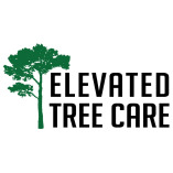 Elevated Tree Care