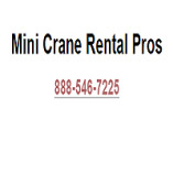 Mini Crane Rental Pros