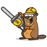 Beaver County Tree Service