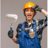 Springfield  Painters