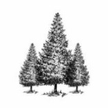 Bahnhofszeit - Offsite Location logo