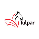 Tulpar Global Taxation