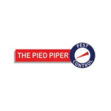 thepiedpiper