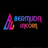 Bermuda Unicorn Virtual Space