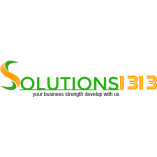 solutions1313