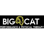 Bigcatperformance