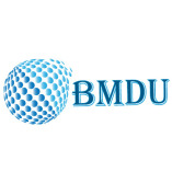 BM Digital Utilization LLP