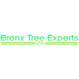 Bronx Tree Pro - Tree Removal, Cutting & Trimming Service