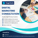 Cognitute - Digital Marketing Consultation