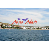 avsaisland.com