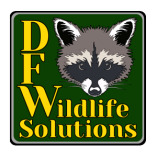 DFW Wildlife Solutions