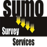 SUMO Survey Services - London