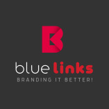 Bluelinks-Seo Company In Delhi