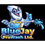 Blue Jay Pro Wash
