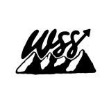 Weber Strategic Solutions