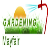 Gardening Mayfair