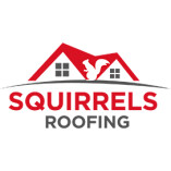 Squirrels Roofing