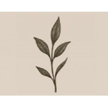 Bloom + Stone Outdoor Designs