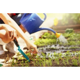 Pressure Washing Highgate