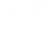 Ypsum Media GmbH logo