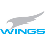 Wing Car Parts