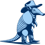 Blues Crews Roofing & Gutters