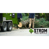 Strom Tree Service