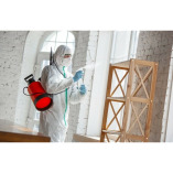 Mold Experts of San Diego