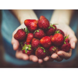 Bismilah Habibi Halal Food Truck