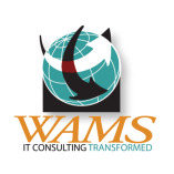 WAMS, Inc.