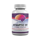 Synaptic XR Core Focus Experience