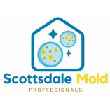 Mold Remediation Scottsdale Experts