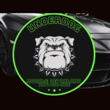 Underdog Mobile Detail