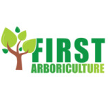 First Arb Tree Surgeons