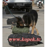 Bomb Dogs Explosive Detection Dogs