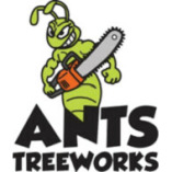 Ants Treeworks Pty Ltd