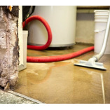 St. George Mold Removal Solutions