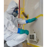 Najera Environmental Inc - 1 Stop Restoration