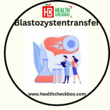 How Much Does Blastocyst Transfer Cost in India (Hoeveel kos Blastocyst-oordrag in Indië)